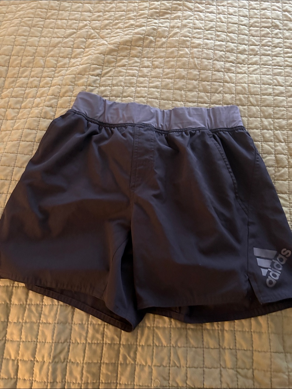 adidas Men’s Purple-Gray Athletic Running Shorts